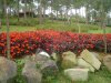 DSC05277.JPG