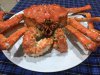 IMG_5363.JPG