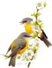 upload_2020-2-19_22-31-38.jpeg