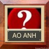 ao 8.jpg