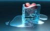 frozen heart.jpg