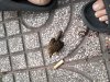 IMG20201126063648.jpg