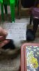 IMG_20201212_172053.jpg