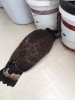 7CA6DEDE-D537-4CF2-BB85-FE60F4CC3809.jpeg