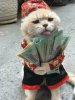 FB_IMG_1549427812966.jpg