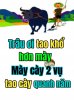 FB_IMG_1617364900300.jpg