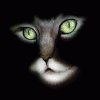 s41qlzky.gif