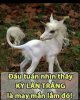 FB_IMG_1662417381686.jpg