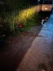 9816EF45-75CA-48CE-B7FC-765B6C1B6072.jpeg