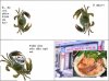 4-phim-kinh-di-cua-cua-2688-1394665530.jpg