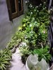 IMG20230106200423.jpg