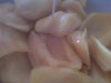 Hình _nh0818.jpg