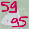image_01.png