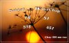 upload_2023-6-4_21-30-20.png