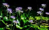 upload_2023-7-9_20-17-16.png