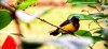 upload_2023-9-4_10-42-1.png
