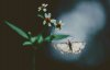 upload_2024-1-22_18-57-2.png