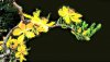 upload_2024-2-17_18-45-59.png