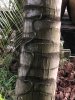 IMG_4021.jpeg