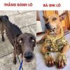 Meme_cheanh_haihuoc_1.jpg
