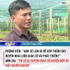 haihuoc_vtv_3.jpg