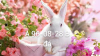 IMG_20140909_1.png