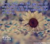 stt-tinh-yeu-buon-ve-con-trai-23.jpg