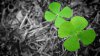 10-lucky-people.jpg