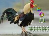 funny-good-morning-wishes.jpg