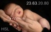 [wallcoo_com]_newborn_baby_Photo_A pair of hands holding a sleeping baby_ISPC006054.jpg
