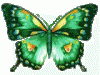 th_ColorfulButterflyAni-1.gif