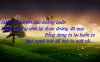 7e0070e3cdaa494454edd1a69c6f3ce2.jpg