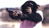 Monkey-gun.jpg