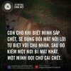 FB_IMG_1436069771453.jpg