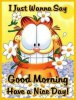 48878-Good-Morning-Have-A-Nice-Day.jpg
