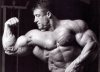 408548__dorian-yates_p.jpg