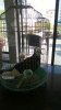 WP_20151030_004.jpg