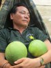 buoi xinh..!.jpg