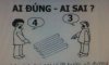 đúng sai.jpg