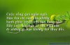 C__Data_Users_DefApps_AppData_INTERNETEXPLORER_Temp_Saved Images_images(8).jpg