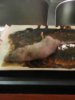 IMG_20160317_071935.jpg