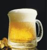 Beer.jpg