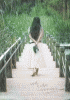 mua1.gif