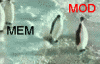 61813581.gif
