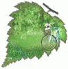 090713021728116261.gif