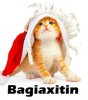 Cat with Christmas Hat.jpg