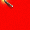 Tien vo.gif