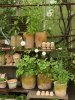 bgreen_20160523_produkt_22980.jpg