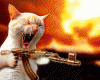 MeoBanSung.gif