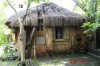 nha tranh copy.jpg